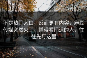不是热门入口，反而更有内容，麻豆传媒突然火了，懂得看门道的人，往往先盯这里