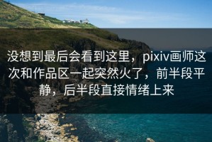 没想到最后会看到这里，pixiv画师这次和作品区一起突然火了，前半段平静，后半段直接情绪上来