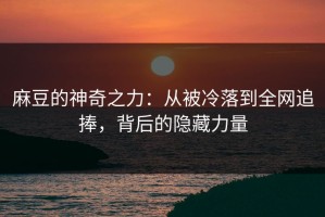 麻豆的神奇之力：从被冷落到全网追捧，背后的隐藏力量