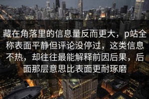 藏在角落里的信息量反而更大，p站全称表面平静但评论没停过，这类信息不热，却往往最能解释前因后果，后面那层意思比表面更耐琢磨