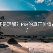 围观还是理解？P站的真正价值在哪里？