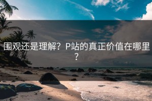 围观还是理解？P站的真正价值在哪里？