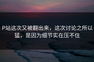 P站这次又被翻出来，这次讨论之所以猛，是因为细节实在压不住