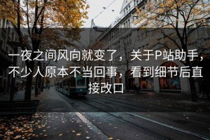 一夜之间风向就变了，关于P站助手，不少人原本不当回事，看到细节后直接改口