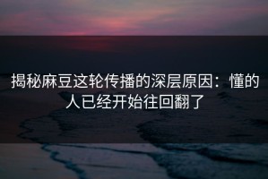 揭秘麻豆这轮传播的深层原因：懂的人已经开始往回翻了
