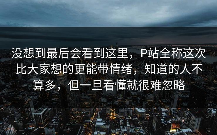没想到最后会看到这里，P站全称这次比大家想的更能带情绪，知道的人不算多，但一旦看懂就很难忽略