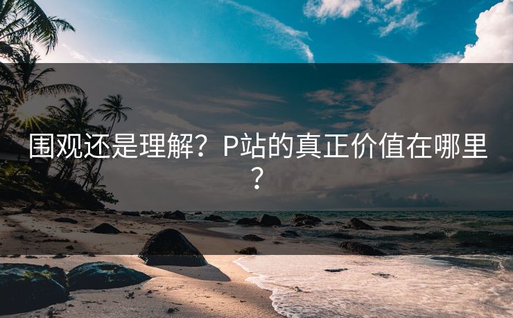围观还是理解？P站的真正价值在哪里？