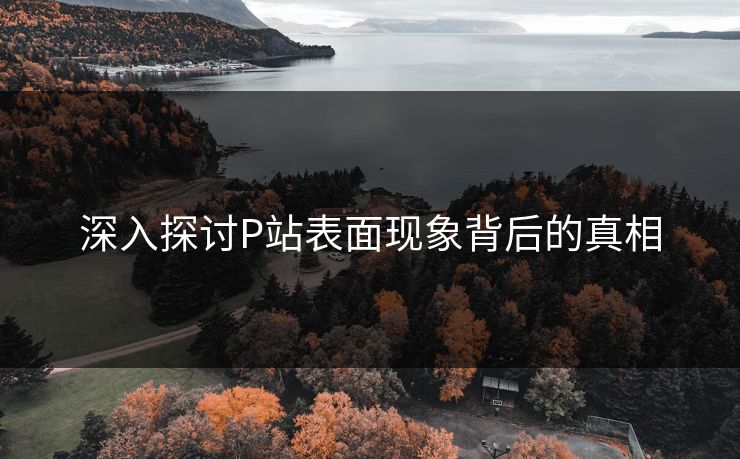 深入探讨P站表面现象背后的真相