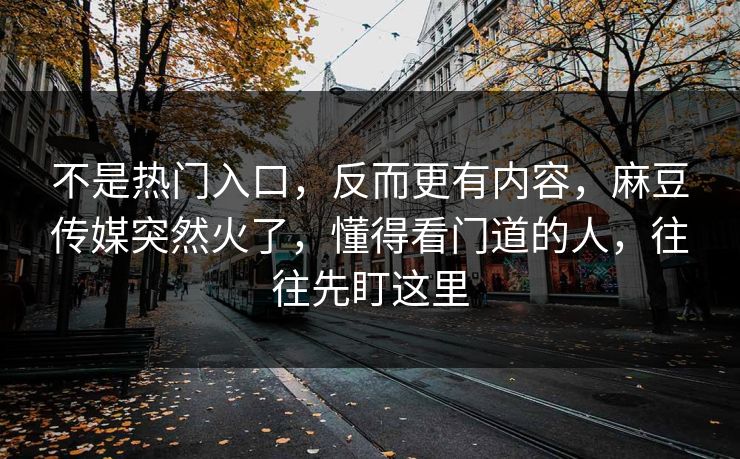 不是热门入口，反而更有内容，麻豆传媒突然火了，懂得看门道的人，往往先盯这里