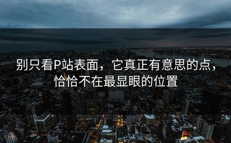 别只看P站表面，它真正有意思的点，恰恰不在最显眼的位置
